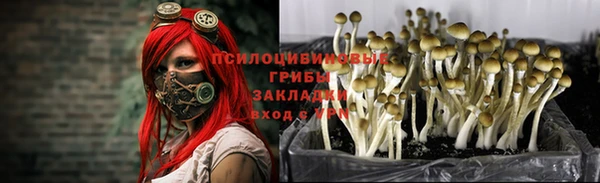 гашиш Аркадак