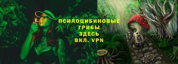винт Армянск