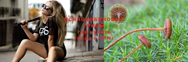 соль ск Арсеньев