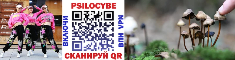 Галлюциногенные грибы мицелий  Гурьевск 
